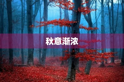 秋意渐浓，金色的季节
