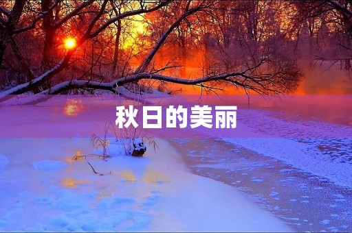 秋日的美丽