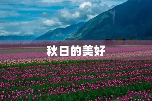 秋日的美好 秋日的美好