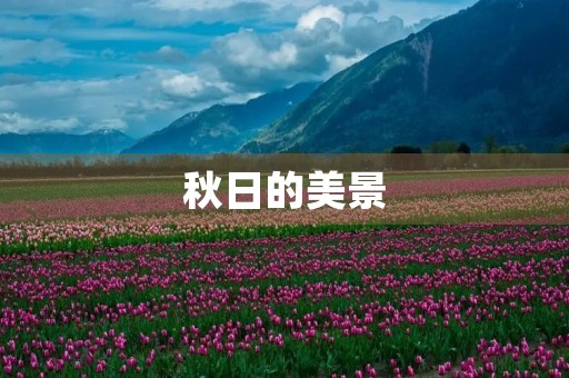 秋日的美景