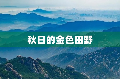 秋日的金色田野