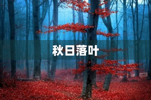 秋日落叶，铺满大地