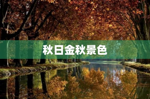 秋日金秋景色