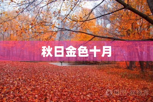 秋日金色十月 秋日金色十月