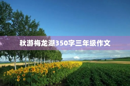 秋游梅龙湖350字三年级作文 秋游梅龙湖350字三年级作文
