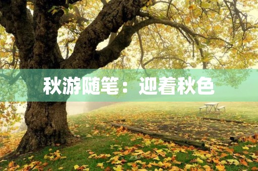 秋游随笔：迎着秋色，走进诗画世界
