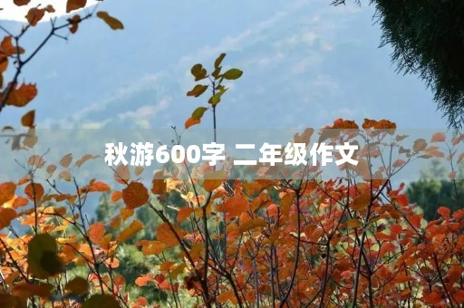 秋游600字 二年级作文
