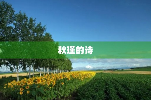 秋瑾的诗