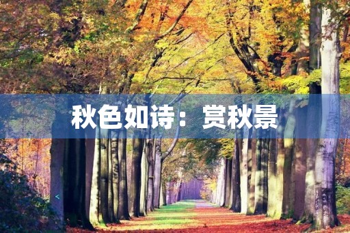 秋色如诗:赏秋景 秋色如诗:赏秋景