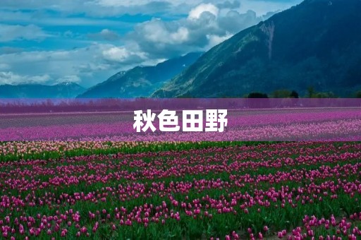 秋色田野