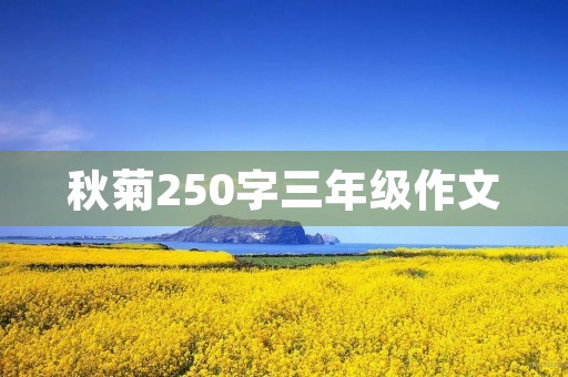 秋菊250字三年级作文
