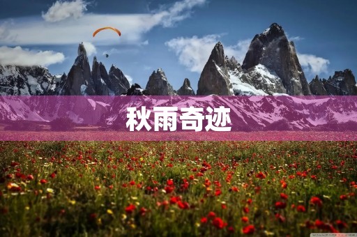 秋雨奇迹，化腐朽为神奇的秋天