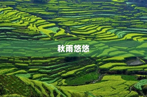 秋雨悠悠,清风送爽 秋雨悠悠,清风送爽