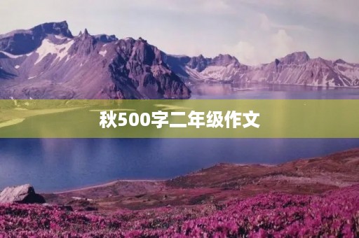 秋500字二年级作文