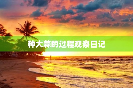 种大蒜的过程观察日记