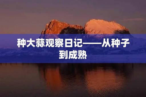 种大蒜观察日记——从种子到成熟 种大蒜观察日记——从种子到成熟