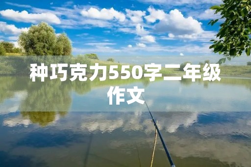 种巧克力550字二年级作文