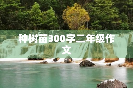 种树苗300字二年级作文 种树苗300字二年级作文