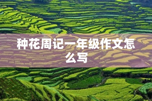 种花周记一年级作文怎么写