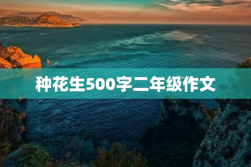 种花生500字二年级作文