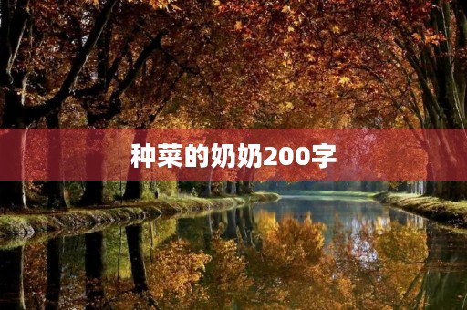 种菜的奶奶200字