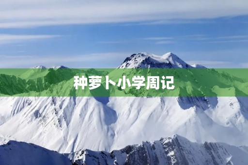 种萝卜小学周记 种萝卜小学周记