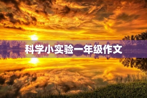 科学小实验一年级作文 科学小实验一年级作文