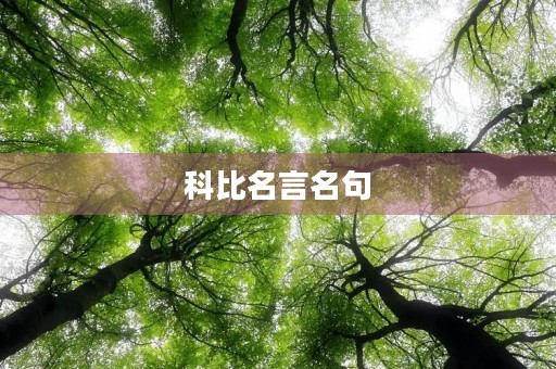 科比名言名句，科比名言名句大全