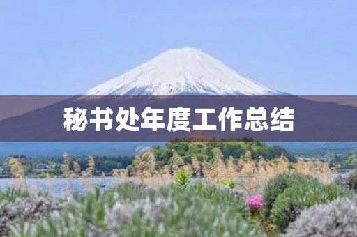 秘书处年度工作总结