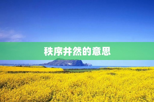 秩序井然的意思(秩序井然)