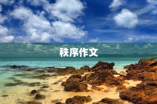 秩序作文