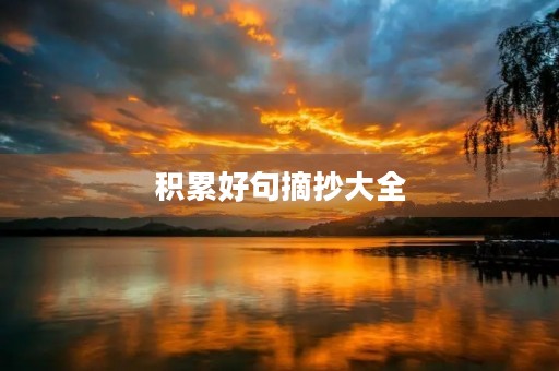 积累好句摘抄大全，积累好句摘抄大全20字