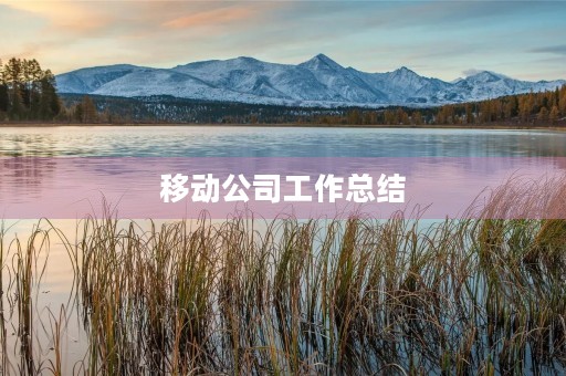移动公司工作总结