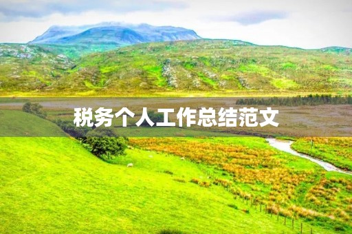 税务个人工作总结范文