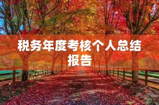 税务年度考核个人总结报告