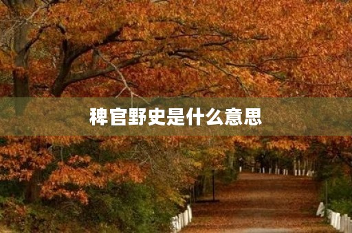 稗官野史是什么意思
