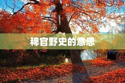 稗官野史的意思(稗官野史) 稗官野史的意思(稗官野史)