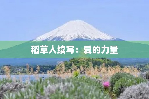 稻草人续写:爱的力量 稻草人续写:爱的力量