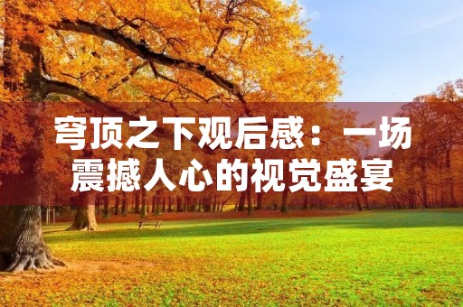 穹顶之下观后感：一场震撼人心的视觉盛宴