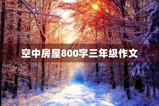 空中房屋800字三年级作文