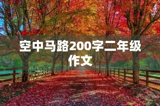 空中马路200字二年级作文