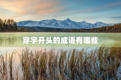 穿字开头的成语有哪些
