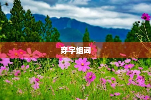 穿字组词(穿的组词) 穿字组词(穿的组词)