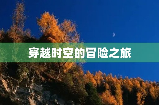 穿越时空的冒险之旅