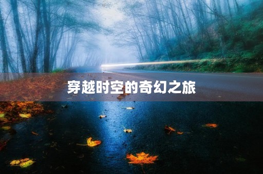 穿越时空的奇幻之旅