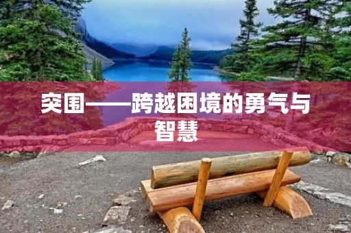 突围——跨越困境的勇气与智慧