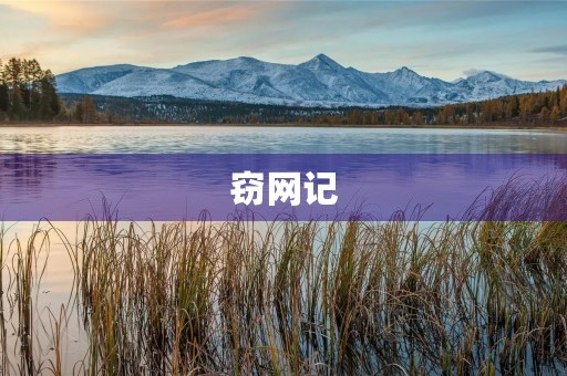窃网记 窃网记