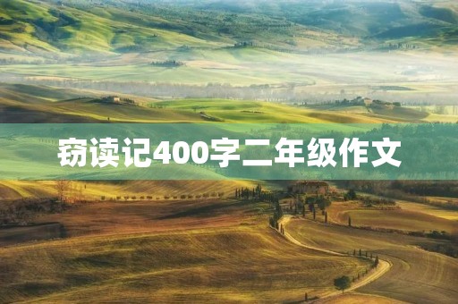 窃读记400字二年级作文