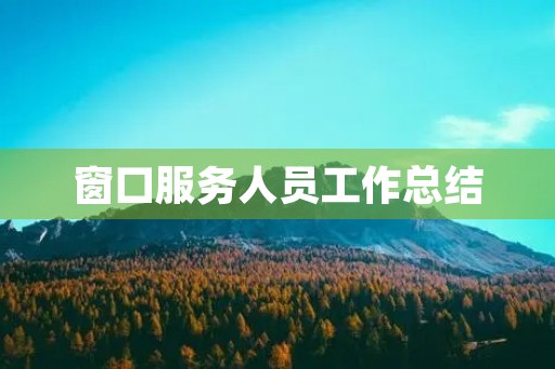窗口服务人员工作总结