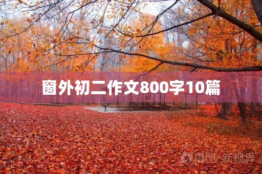 窗外初二作文800字10篇 窗外初二作文800字10篇